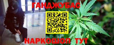 мдпв Гусев