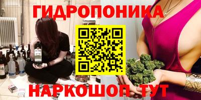 мдпв Гусев