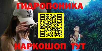 ГАЛЛЮЦИНОГЕННЫЕ ГРИБЫ Гусиноозёрск