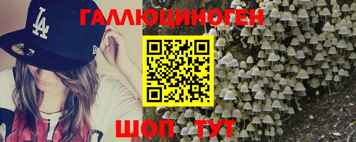Псилоцибиновые грибы Psilocybe  Вход с VPN  дарнет шоп  Псилоцибиновые грибы Psilocybe  Белгород 